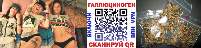Псилоцибиновые грибы MAGIC MUSHROOMS  наркошоп  Чадан 