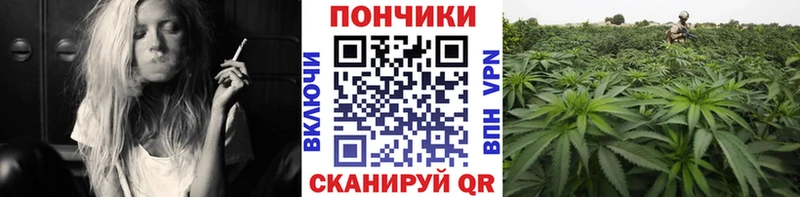 Канабис OG Kush Чадан